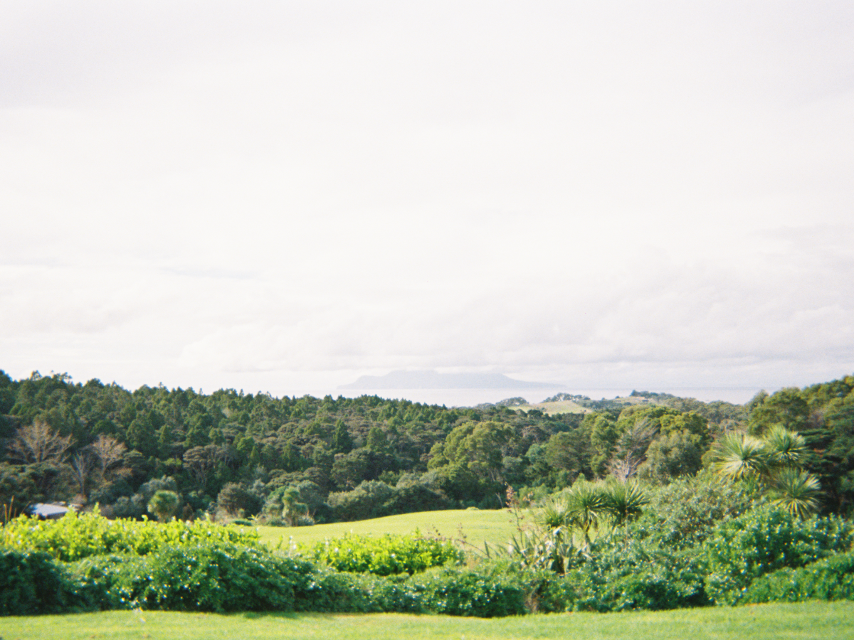 Stunning view at Matakanarama showing overlooking the hill, ocean and little bariier